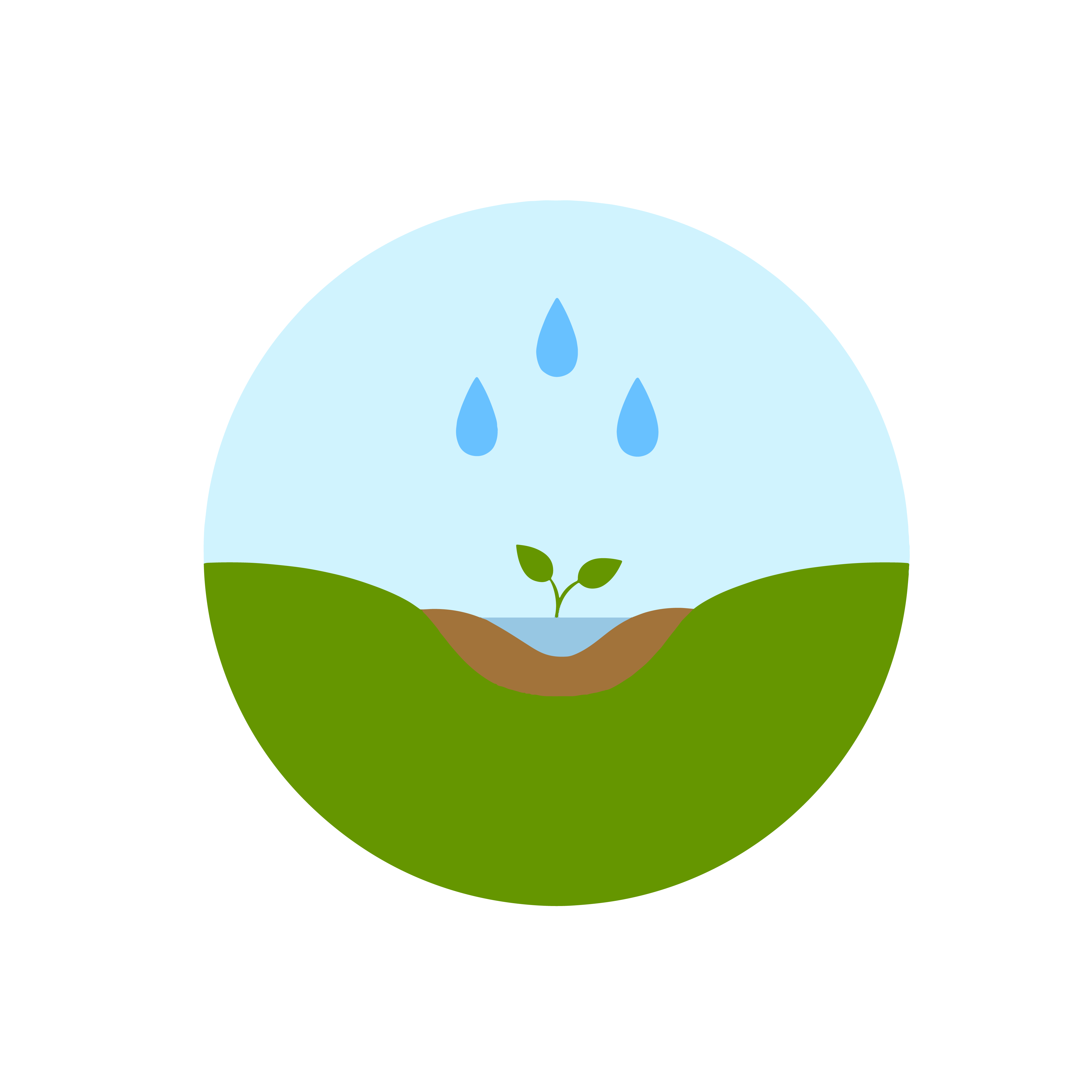Rain Garden