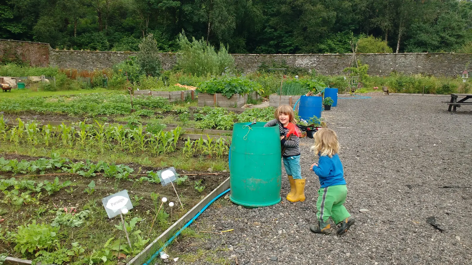 Part of the food growing area